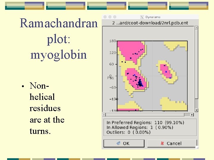 Ramachandran plot: myoglobin • Nonhelical residues are at the turns. 