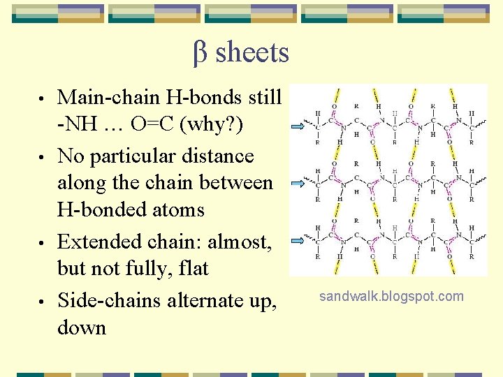β sheets • • Main-chain H-bonds still -NH … O=C (why? ) No particular