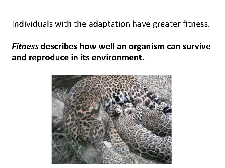 Individuals with the adaptation have greater fitness. Fitness describes how well an organism can