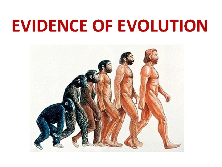 EVIDENCE OF EVOLUTION 