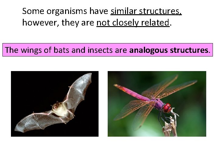 Some organisms have similar structures, however, they are not closely related. The wings of