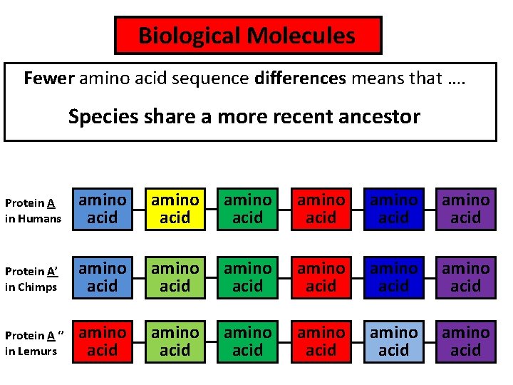 Biological Molecules Fewer amino acid sequence differences means that …. Species share a more