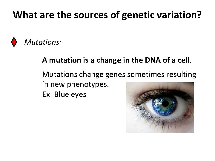 What are the sources of genetic variation? Mutations: A mutation is a change in