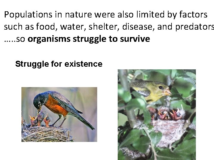 Populations in nature were also limited by factors such as food, water, shelter, disease,