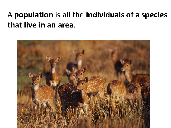 A population is all the individuals of a species that live in an area.