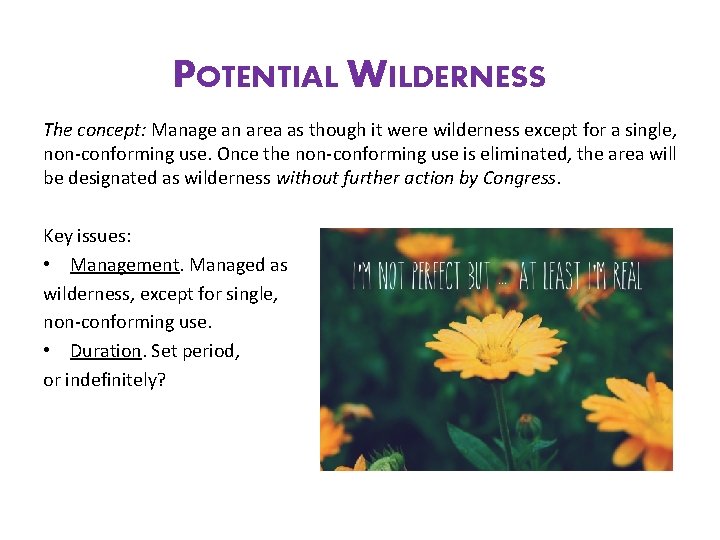 POTENTIAL WILDERNESS The concept: Manage an area as though it were wilderness except for