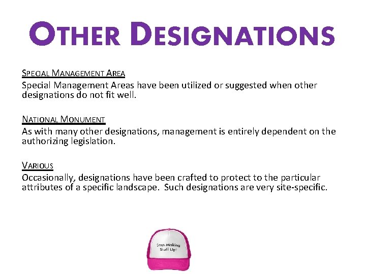 OTHER DESIGNATIONS SPECIAL MANAGEMENT AREA Special Management Areas have been utilized or suggested when