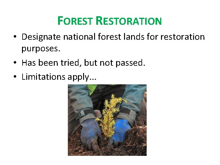 FORESTORATION • Designate national forest lands for restoration purposes. • Has been tried, but