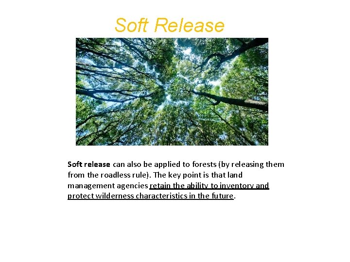Soft Release Soft release can also be applied to forests (by releasing them from