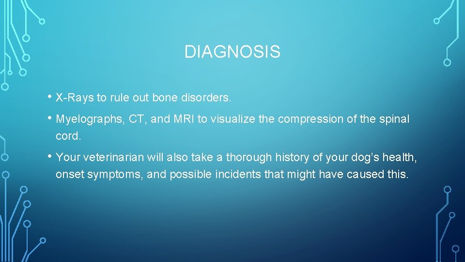 DIAGNOSIS • X-Rays to rule out bone disorders. • Myelographs, CT, and MRI to