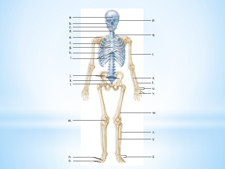 a. b. c. d. e. p. q. f. g. h. i. r. j. k.