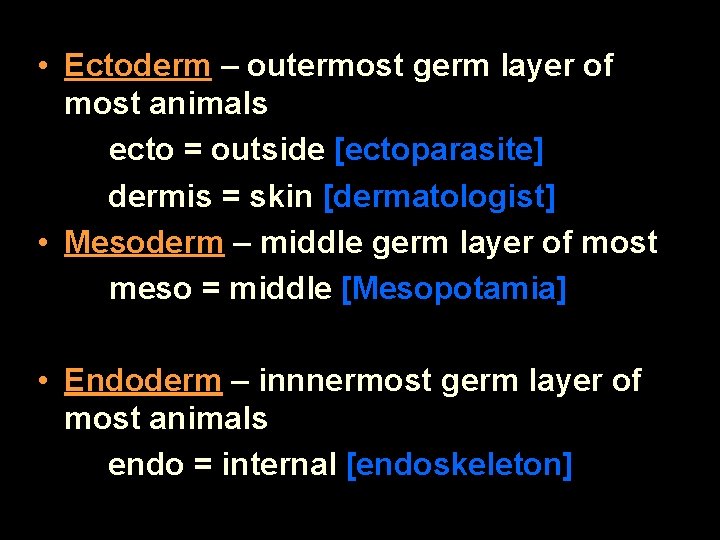  • Ectoderm – outermost germ layer of most animals ecto = outside [ectoparasite]
