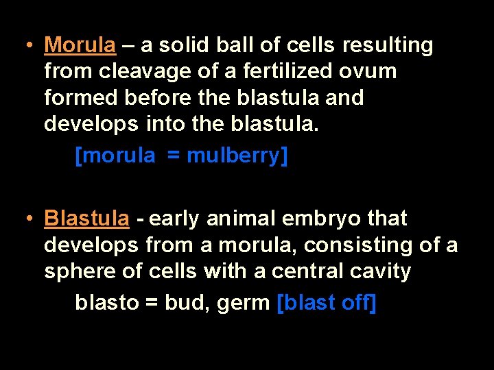  • Morula – a solid ball of cells resulting from cleavage of a
