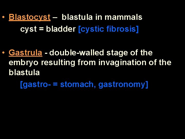  • Blastocyst – blastula in mammals cyst = bladder [cystic fibrosis] • Gastrula