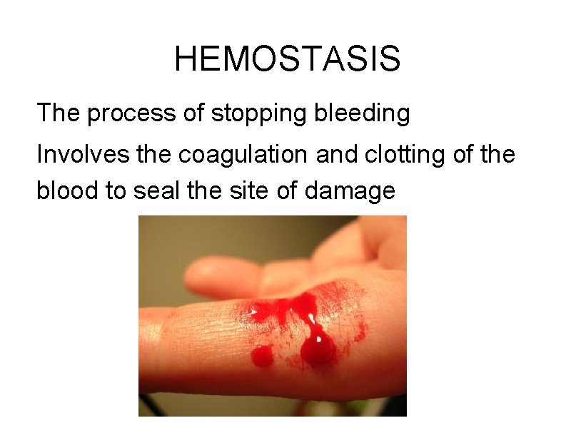 HEMOSTASIS The process of stopping bleeding Involves the coagulation and clotting of the blood