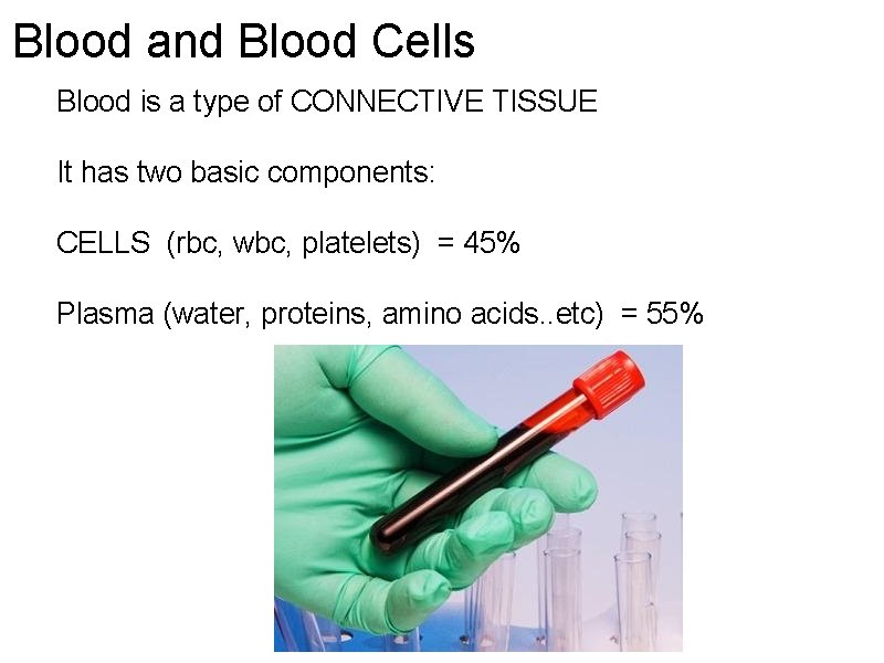Blood and Blood Cells Blood is a type of CONNECTIVE TISSUE It has two