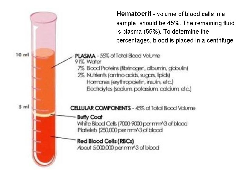 Hematocrit - volume of blood cells in a sample, should be 45%. The remaining