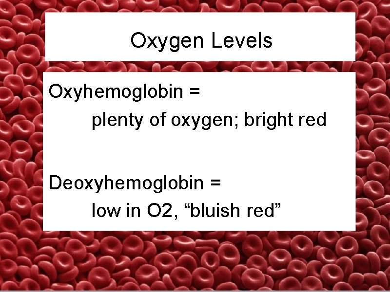Oxygen Levels Oxyhemoglobin = plenty of oxygen; bright red Deoxyhemoglobin = low in O