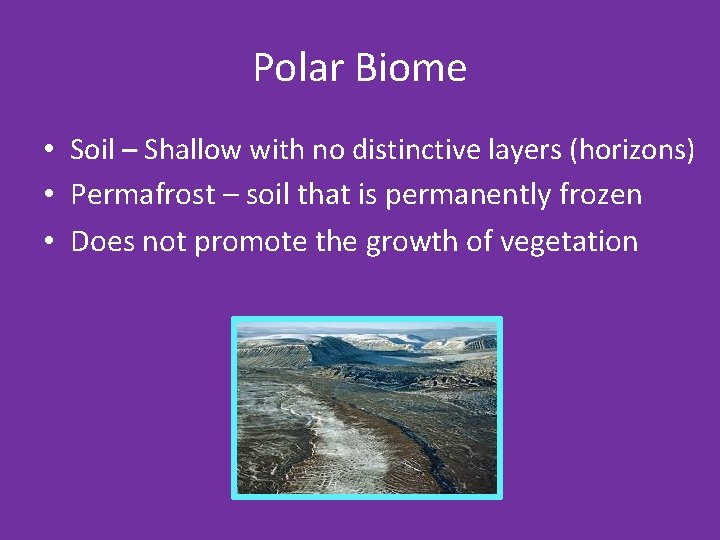 Polar Biome • Soil – Shallow with no distinctive layers (horizons) • Permafrost –