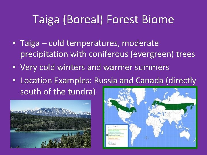 Taiga (Boreal) Forest Biome • Taiga – cold temperatures, moderate precipitation with coniferous (evergreen)