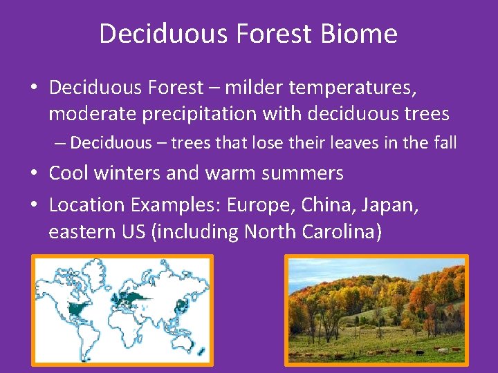 Deciduous Forest Biome • Deciduous Forest – milder temperatures, moderate precipitation with deciduous trees