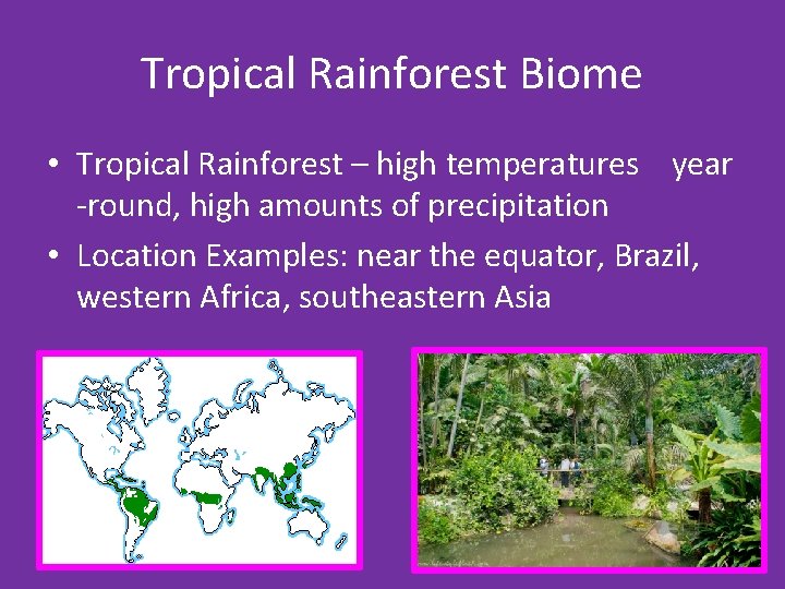 Tropical Rainforest Biome • Tropical Rainforest – high temperatures year -round, high amounts of
