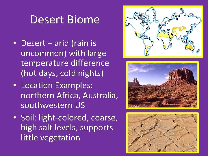 Desert Biome • Desert – arid (rain is uncommon) with large temperature difference (hot
