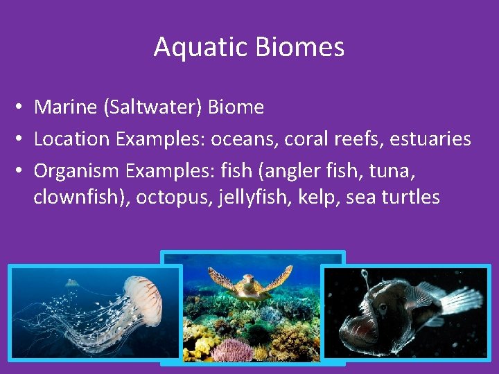 Aquatic Biomes • Marine (Saltwater) Biome • Location Examples: oceans, coral reefs, estuaries •