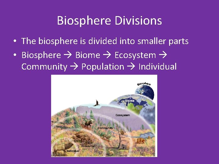 Biosphere Divisions • The biosphere is divided into smaller parts • Biosphere Biome Ecosystem