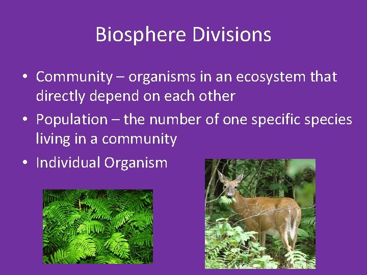 Biosphere Divisions • Community – organisms in an ecosystem that directly depend on each