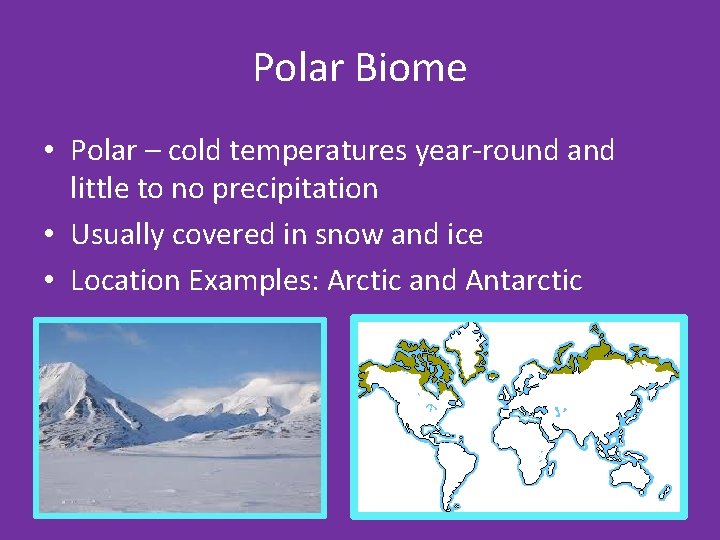 Polar Biome • Polar – cold temperatures year-round and little to no precipitation •