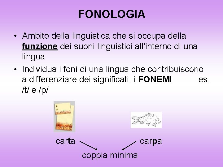 FONOLOGIA • Ambito della linguistica che si occupa della funzione dei suoni linguistici all’interno