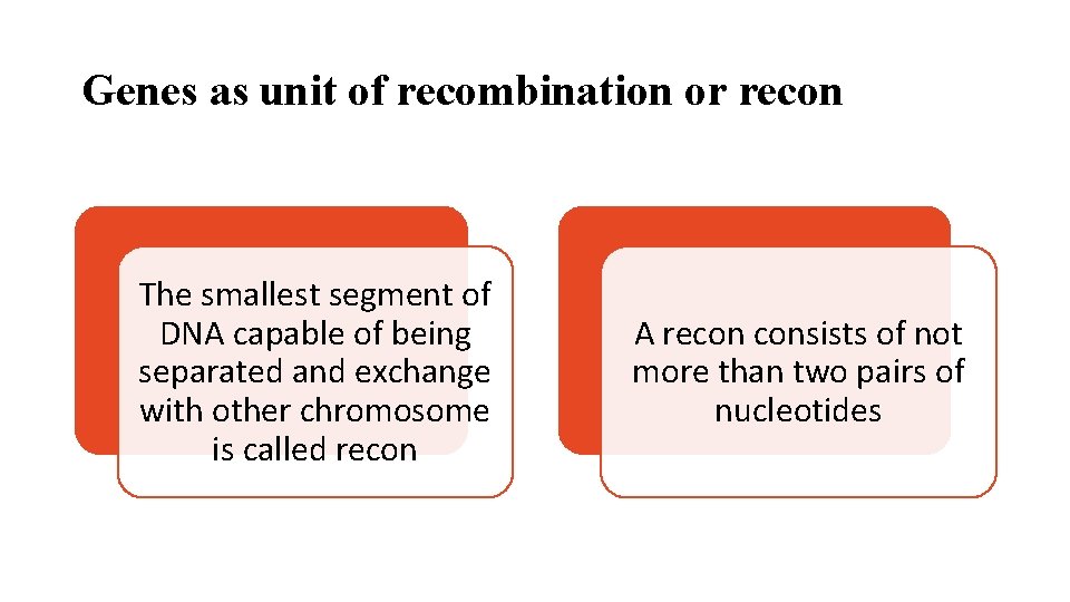 Genes as unit of recombination or recon The smallest segment of DNA capable of