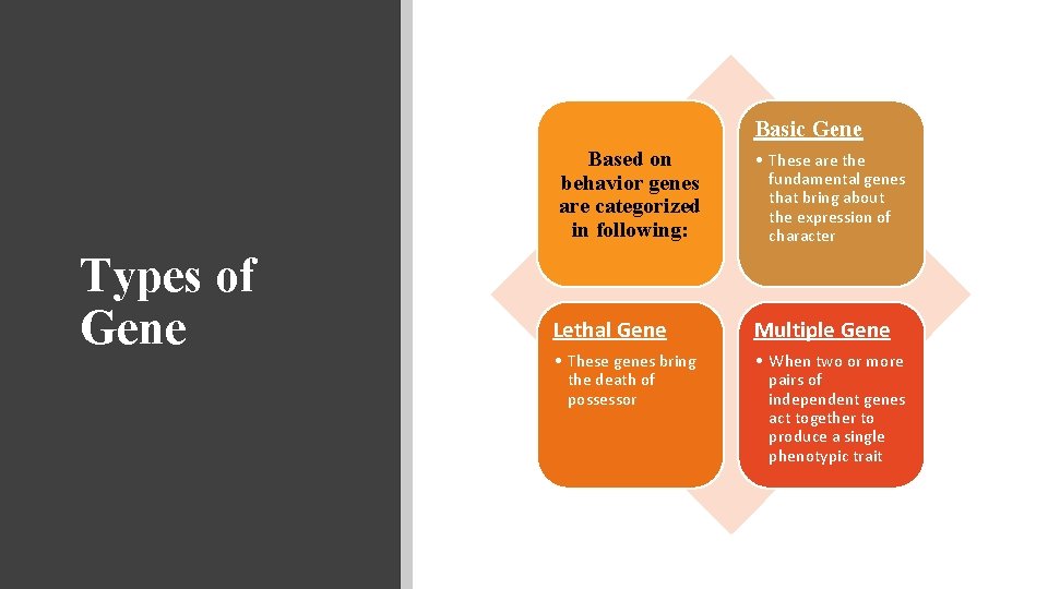 Basic Gene Based on behavior genes are categorized in following: Types of Gene •