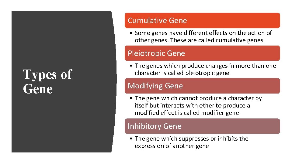 Cumulative Gene • Some genes have different effects on the action of other genes.