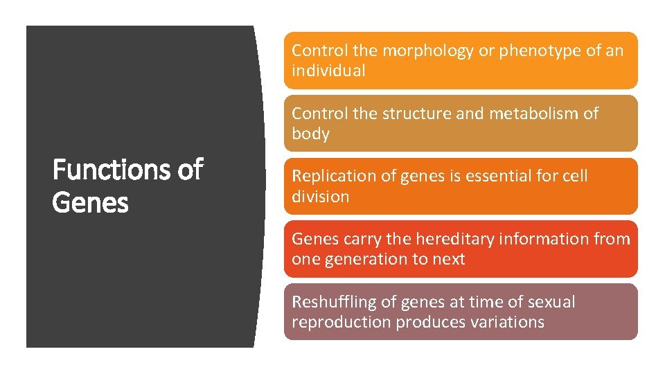 Control the morphology or phenotype of an individual Control the structure and metabolism of