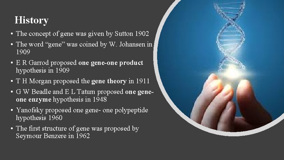 History • The concept of gene was given by Sutton 1902 • The word