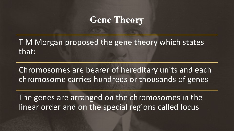 Gene Theory T. M Morgan proposed the gene theory which states that: Chromosomes are