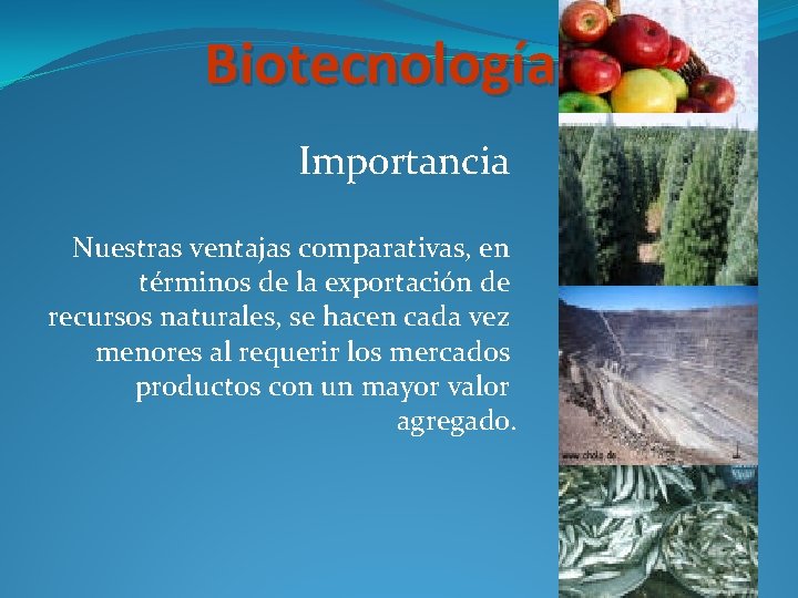 Biotecnología Importancia Nuestras ventajas comparativas, en términos de la exportación de recursos naturales, se
