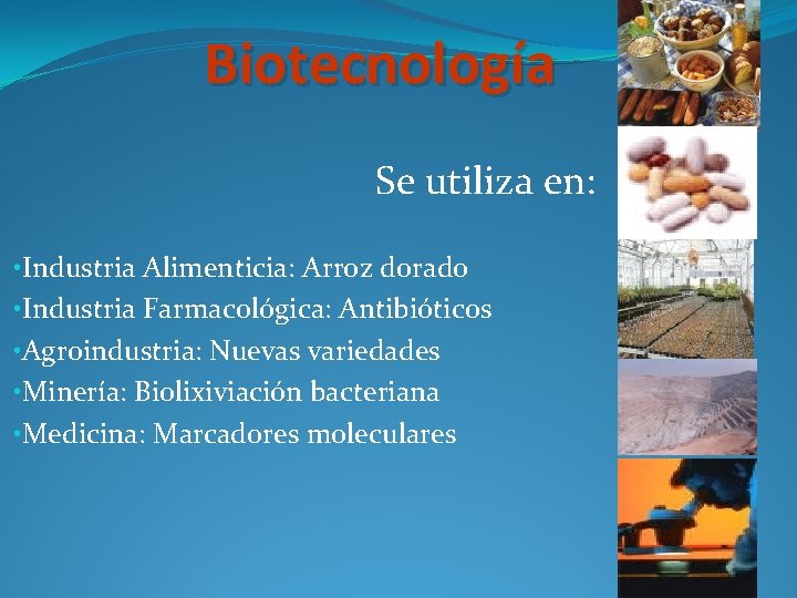 Biotecnología Se utiliza en: • Industria Alimenticia: Arroz dorado • Industria Farmacológica: Antibióticos •