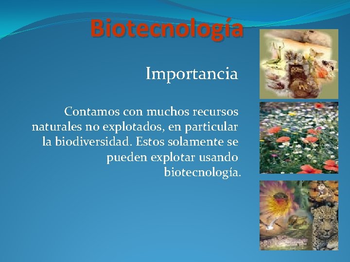Biotecnología Importancia Contamos con muchos recursos naturales no explotados, en particular la biodiversidad. Estos