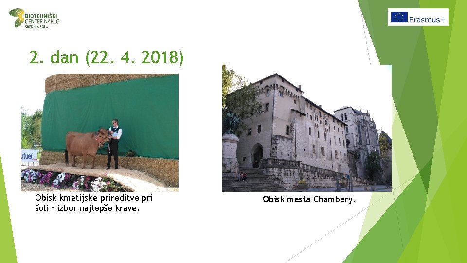 2. dan (22. 4. 2018) Obisk kmetijske prireditve pri šoli – izbor najlepše krave.