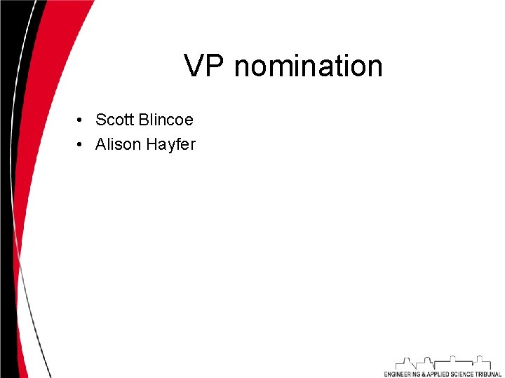 VP nomination • Scott Blincoe • Alison Hayfer 