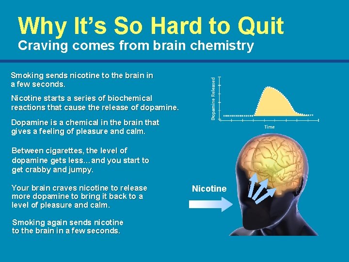 Why It’s So Hard to Quit Craving comes from brain chemistry Smoking sends nicotine