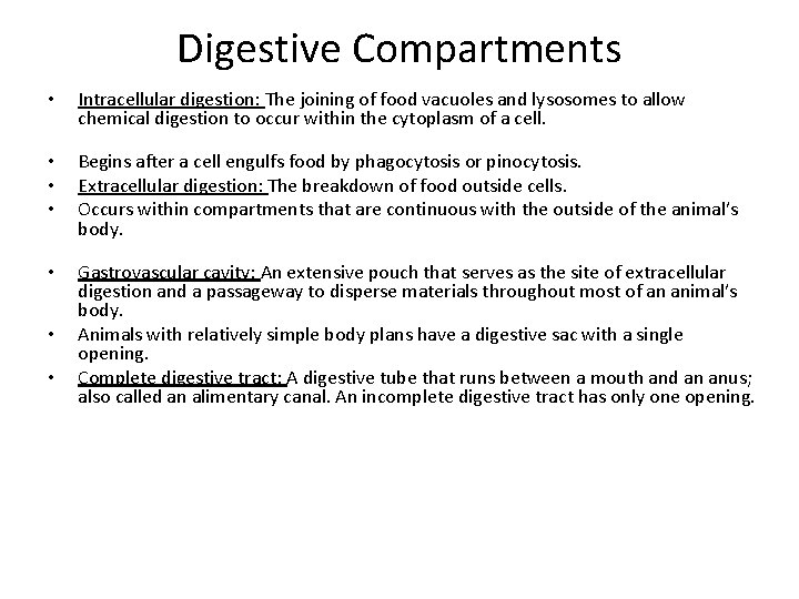 Digestive Compartments • Intracellular digestion: The joining of food vacuoles and lysosomes to allow