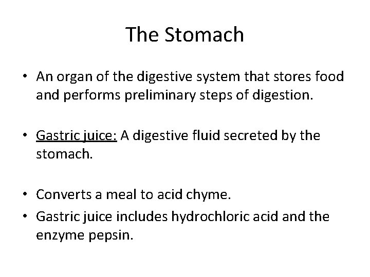 The Stomach • An organ of the digestive system that stores food and performs