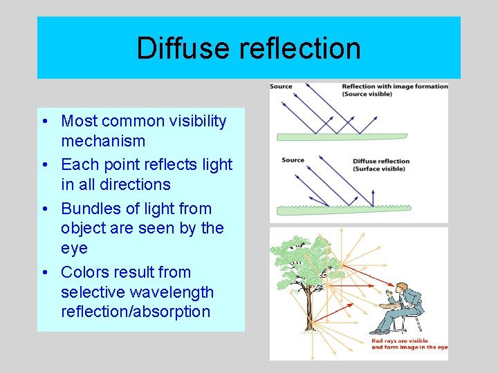 Diffuse reflection • Most common visibility mechanism • Each point reflects light in all