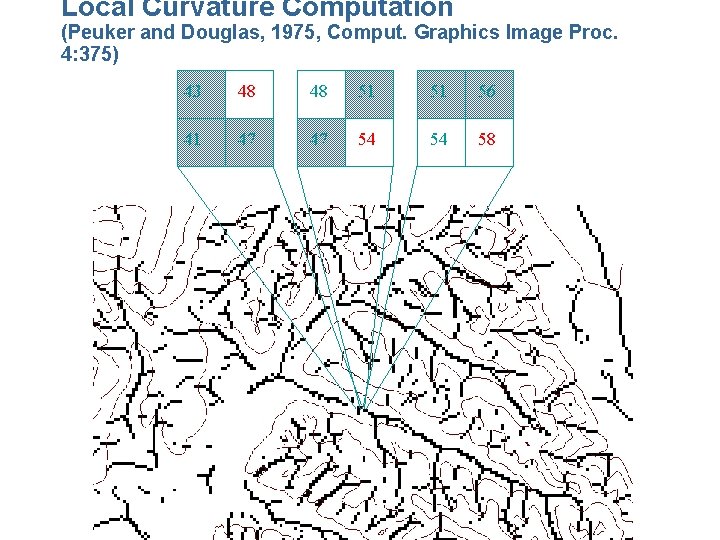 Local Curvature Computation (Peuker and Douglas, 1975, Comput. Graphics Image Proc. 4: 375) 43