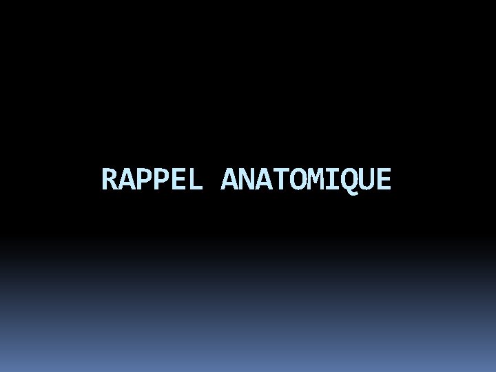 RAPPEL ANATOMIQUE 