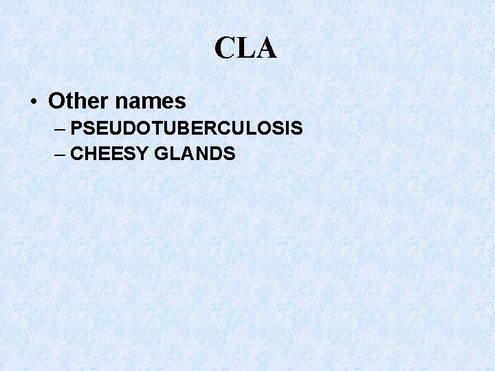 CLA • Other names – PSEUDOTUBERCULOSIS – CHEESY GLANDS 
